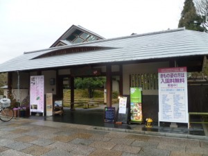P1030547