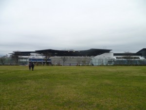 P1030554