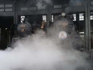 P1030567