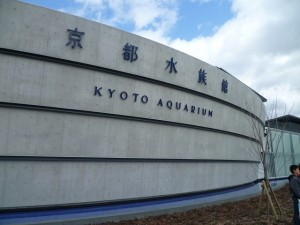 P1030678