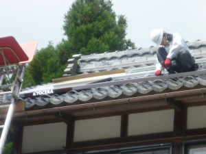 P1040329