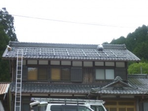 P1040334
