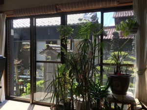 2015-03-25 11.11.41 HDR