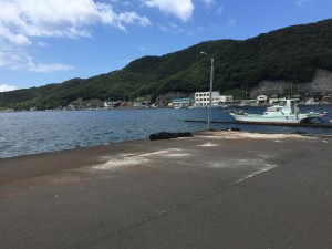2015-08-23 12.07.45