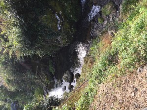 2016-11-10 09.52.44